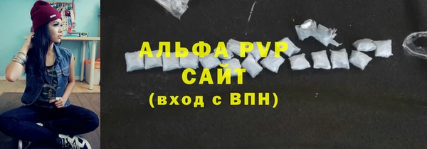 стаф Алексин