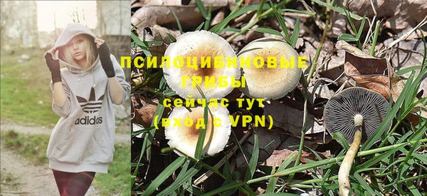 бутират Алзамай
