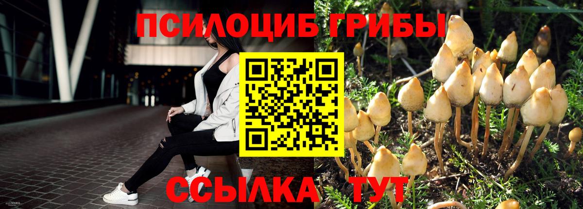 Галлюциногенные грибы мухоморы  Вход с VPN  Конаково 